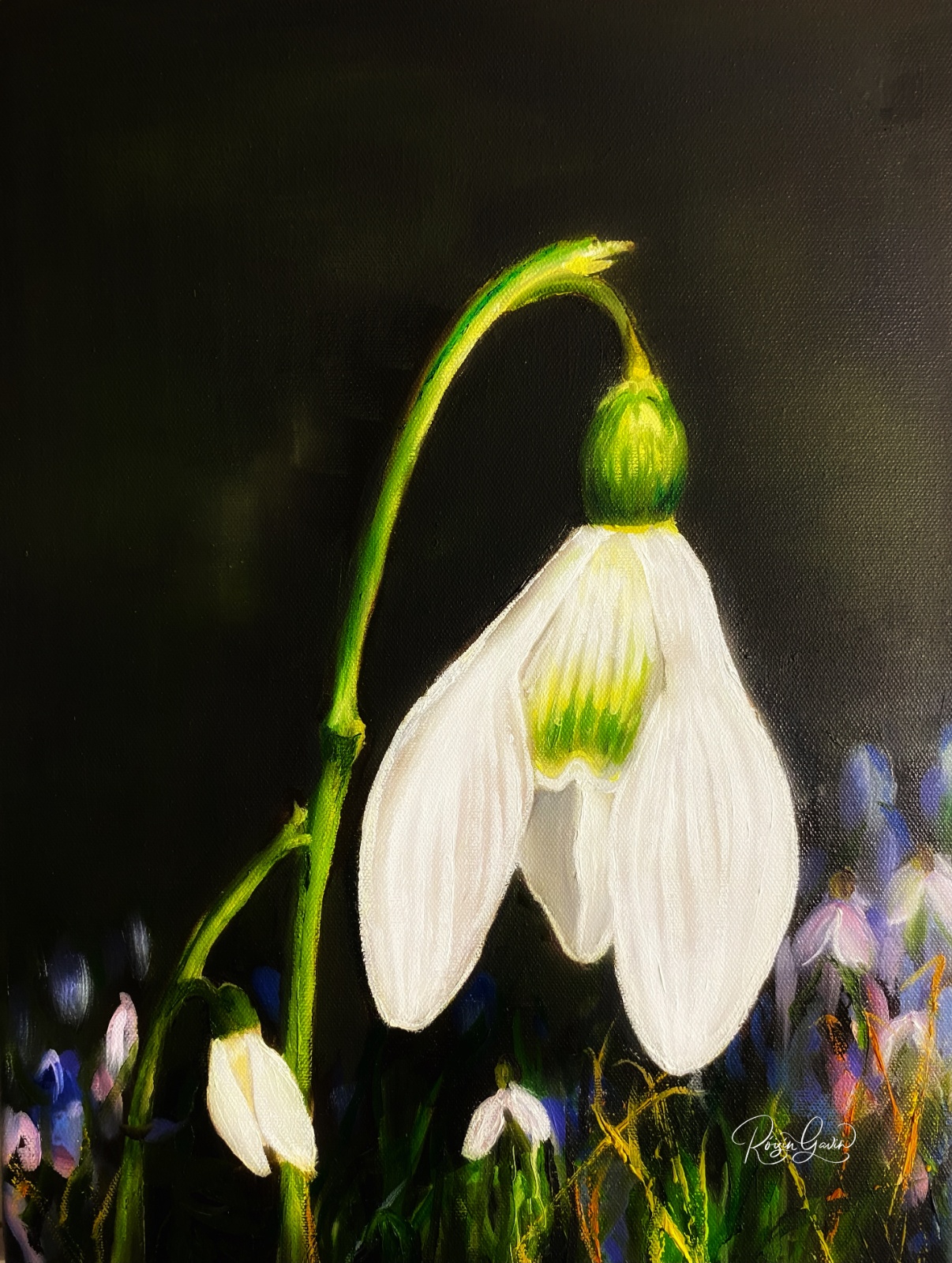 Plúirín sneachta oilpainting