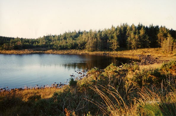 Autumn in Connemara print