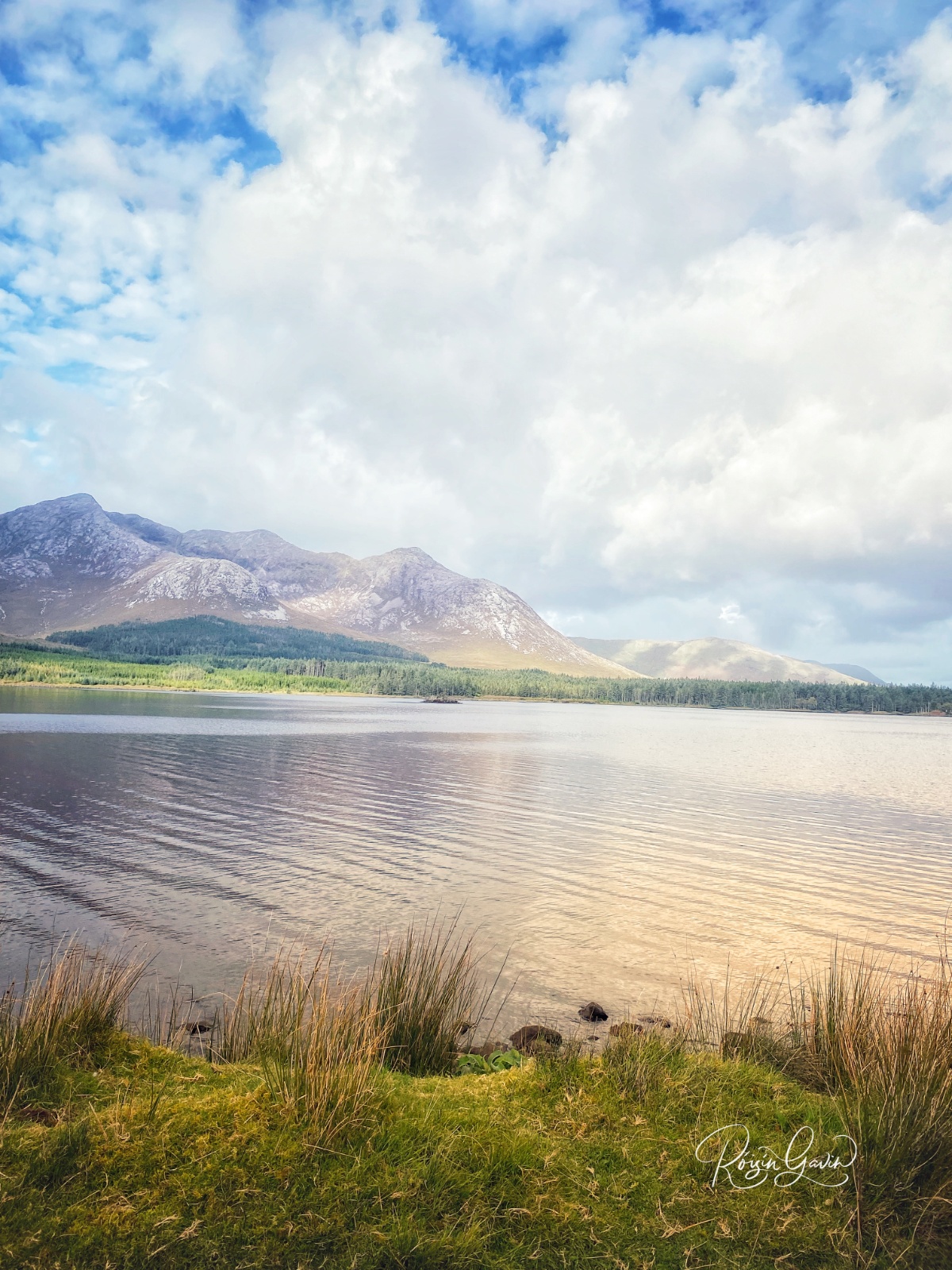 Saturated colours of an Autumn sun print