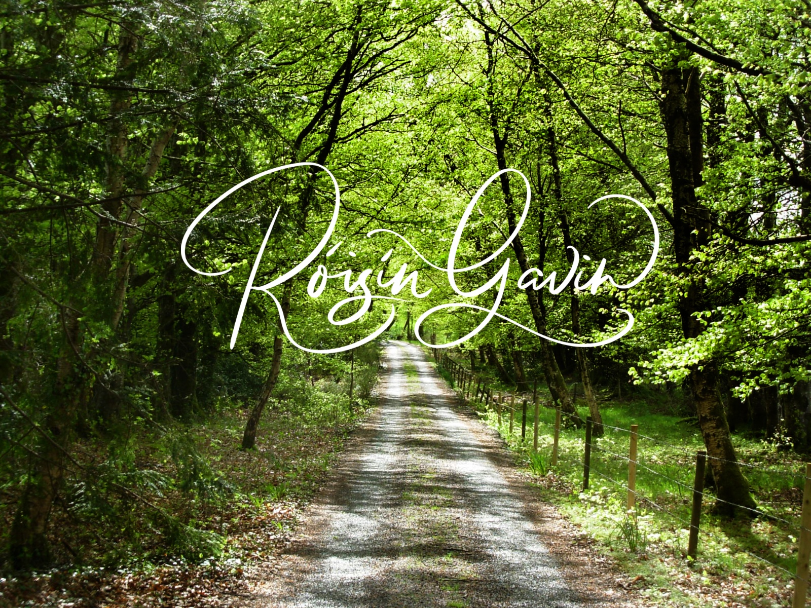 Roisin gavin2